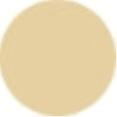 Jane Iredale Active Light Under Eye Concealer 2g