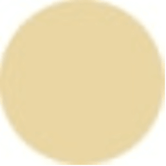 Jane Iredale Active Light Under Eye Concealer 2g