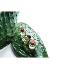 Aluram Curl Shampoo 355ml