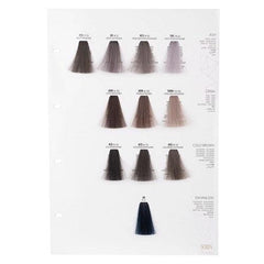 Screen Dorado Colour 10DM Cipria Ultra Light Blonde 100ml