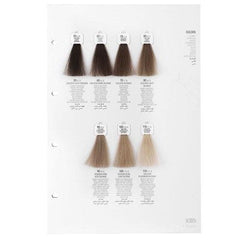 Screen Dorado Colour 8D Golden Light Blonde 100 ml