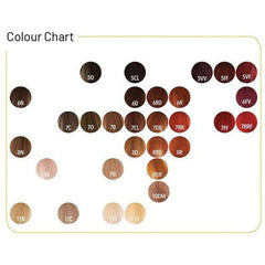 Screen Dorado Tone on Tone Creator 150ml