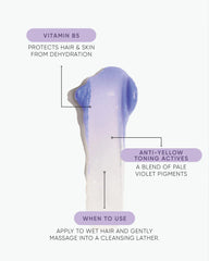 NAK Blonde Plus Shampoo and Blonde Condition Deluxe Size Duo 500ml Limited Edition