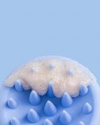 ROH Scalp Scrub Brush