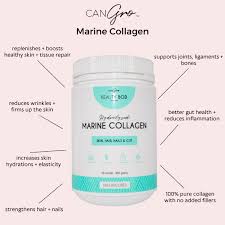 Can Gro Marine Collagen C