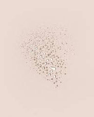 NAK Signature Root Lift Mist 250ml