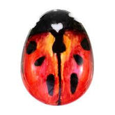 Kent Pebble Detangling Ladybug Brush
