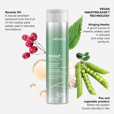 Joico Scalp Vitality Refreshing Shampoo 300ml