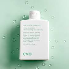 Evo Common Ground Scalp Shampoo 300ml