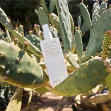 Evo Mister Fantastic Blowout Spray 200ml