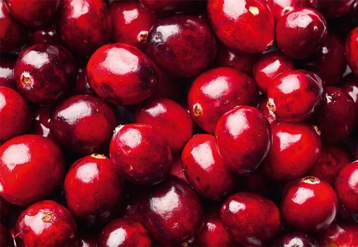 Sebastian Cellophanes 300ml