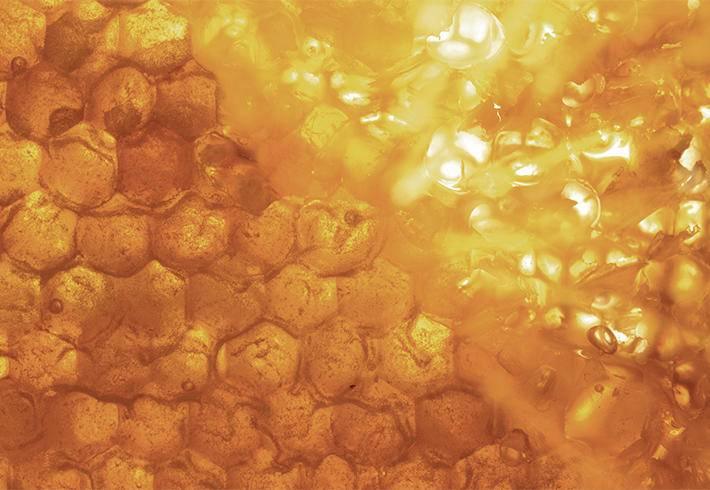 Sebastian Cellophanes 300ml