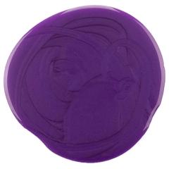 Redken Color Extend Blondage Shampoo 300ml