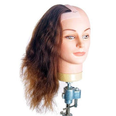 Dateline Professional Female Left Side Profile
