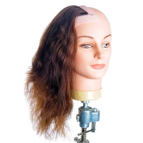 Dateline Professional Female Right Side Profile (No Ears)