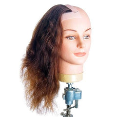 Dateline Professional Female Right Side Profile (No Ears)