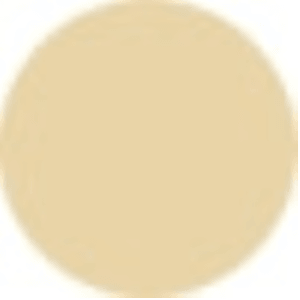 Jane Iredale Active Light Under Eye Concealer 2g
