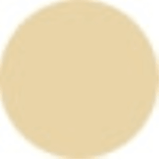 Jane Iredale Active Light Under Eye Concealer 2g