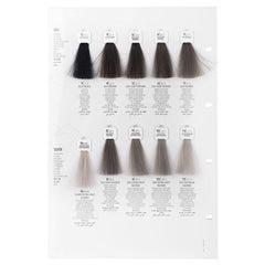 Screen Dorado Colour 8C Ash Light Blonde