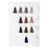 Screen Dorado Colour 9CV Violet Ash Extra Light Blonde 100 ml