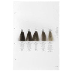 Screen Dorado Colour 5O Matte Light Brown 100 ml