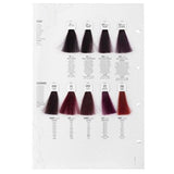 Screen Dorado Colour 5VV Deep Violet Light Brown 100ml