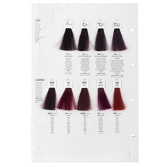 Screen Dorado Colour 5VV Deep Violet Light Brown 100ml