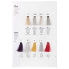 Screen Dorado Colour 10C Ash Ultra Light Blonde