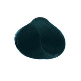 Echos Color Hair Colour 1.10 Ash Blue Black 100ml