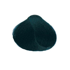 Echos Color Hair Colour 1.10 Ash Blue Black 100ml