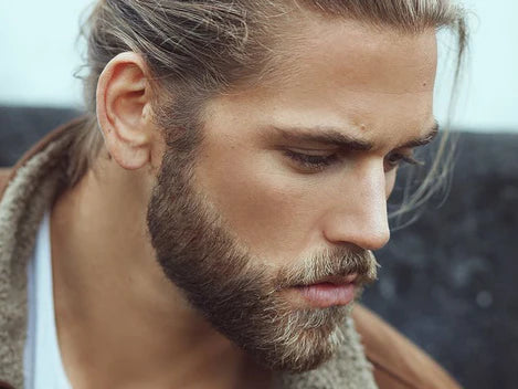 Beard Dye Dark Blond