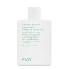 Evo Common Ground Scalp Shampoo 300ml