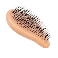 WetBrush Go Green Palm Detangler