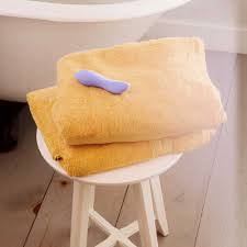 Dame Dip Basic Vibrator