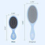 WetBrush Mini Sky