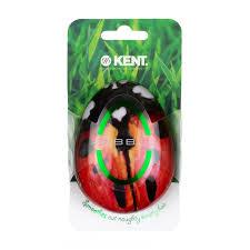 Kent Pebble Detangling Ladybug Brush