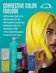 Malibu C Corrective Colour Toolbox