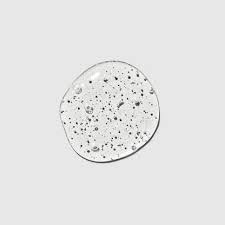 Paul Mitchell Extra Body Thicken Up 150ml