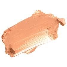 Napoleon Perdis The One Concealer 5.2g