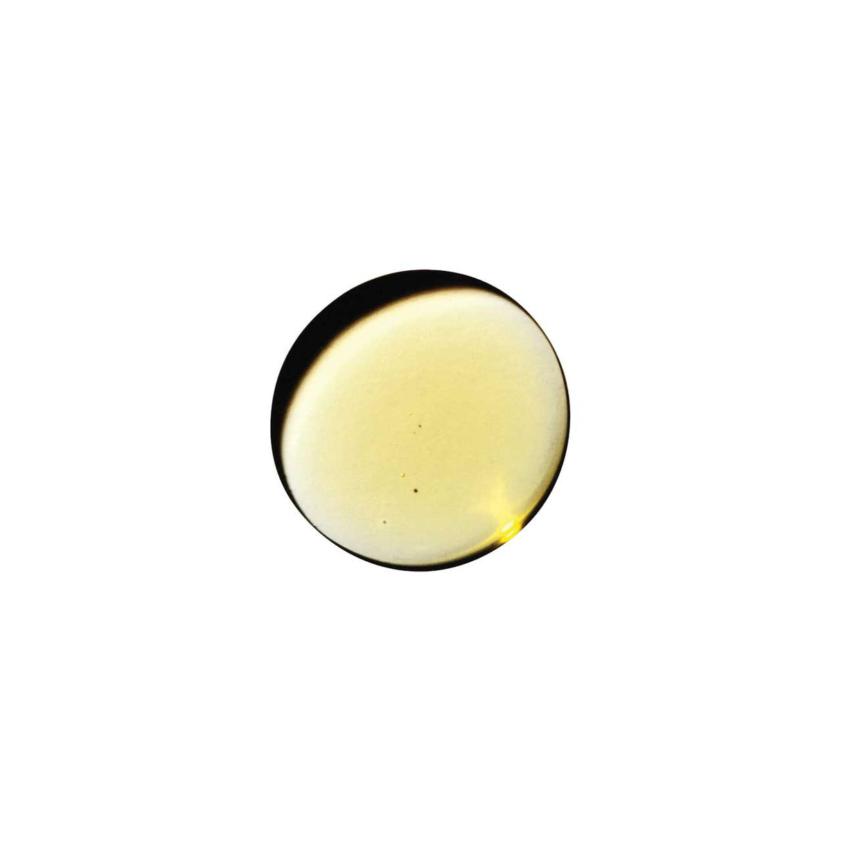 Dame Massage Oil 60ml