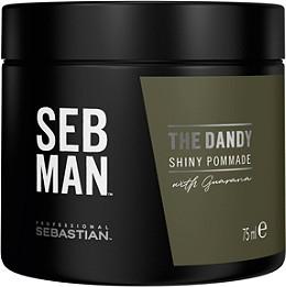 Sebastian Seb Man The Dandy Light Hold Pomade 75ml