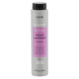 Lakme Teknia Organic Refresh Violet Lavender Shampoo 300ml