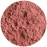 Youngblood Crushed Mineral Blush Rouge 3g