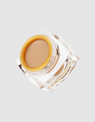 Napoleon The One Concealer 5.2g